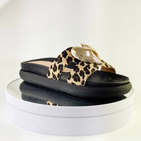 Animal Print